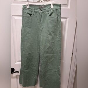 Joe's Jeans Sage Green Denim